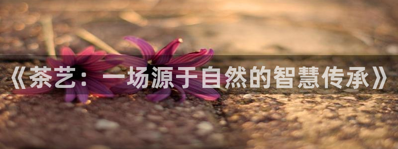 鸿运平台代理平