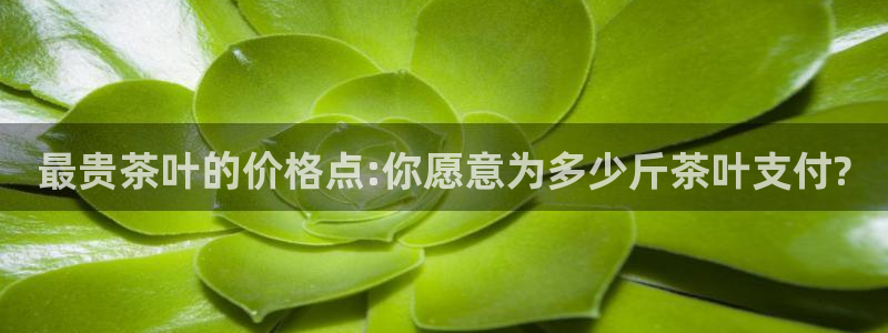 鸿运赌城平台