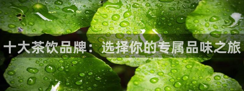 鸿运赌钱平台