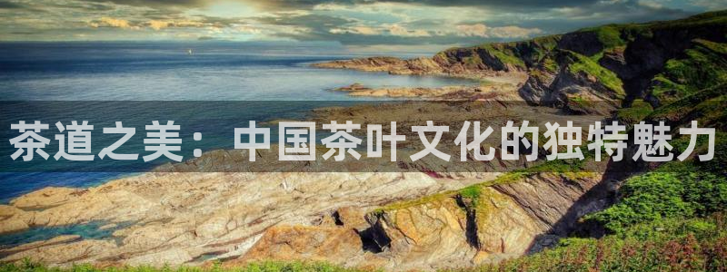 鸿运权威彩票平台