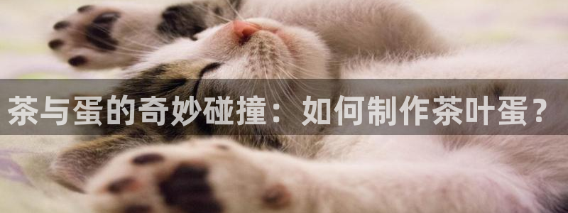 鸿运工厂直播平台
