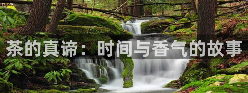 鸿运国际平台