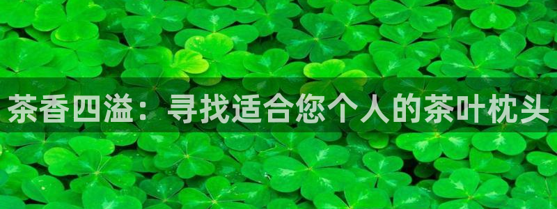 大发鸿运彩票平台