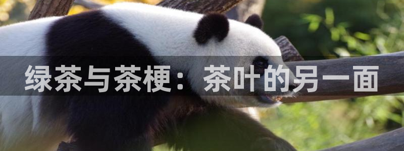 鸿运彩票平台正规吗