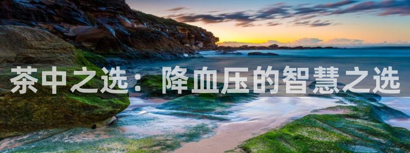 鸿运平台进入登录界面