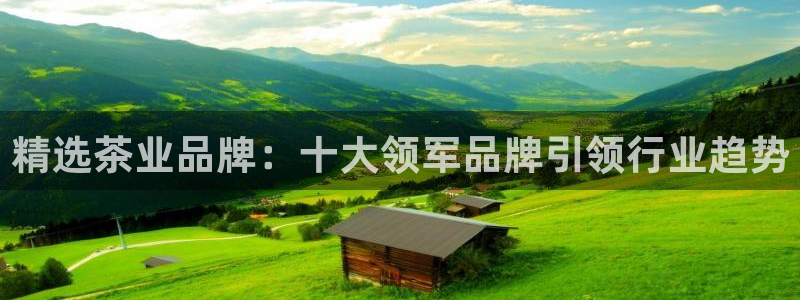 鸿运直接平台
