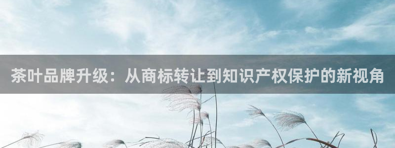 鸿运平台怎么赚钱