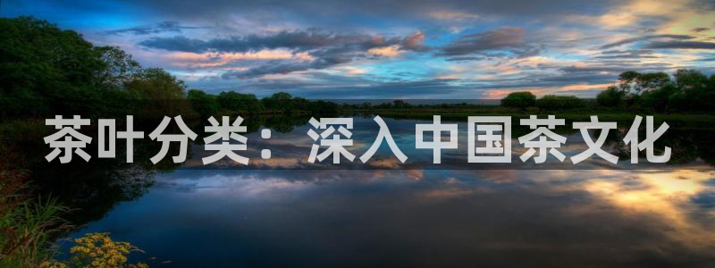 鸿运聊平台