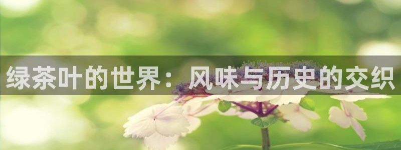 鸿运娱乐平台登录