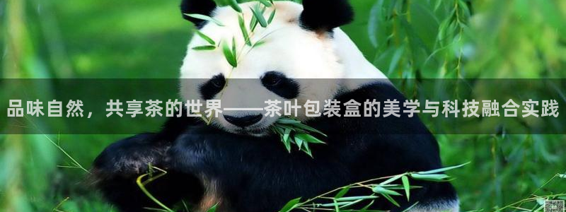 鸿运到游戏直播平台