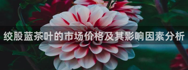 鸿运彩app平台