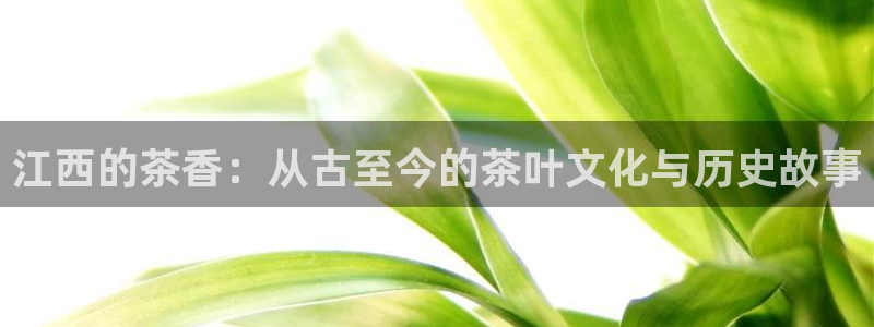 鸿运当头网贷平台
