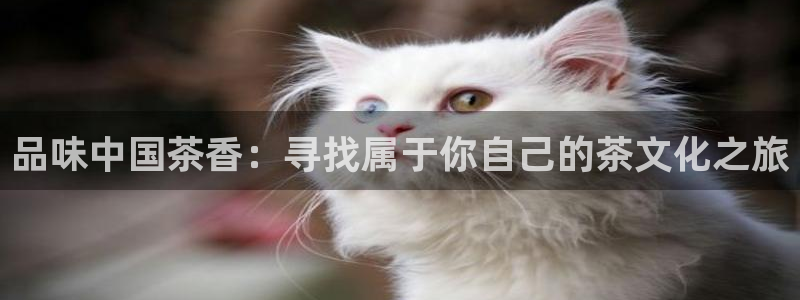 鸿运平台招商注册