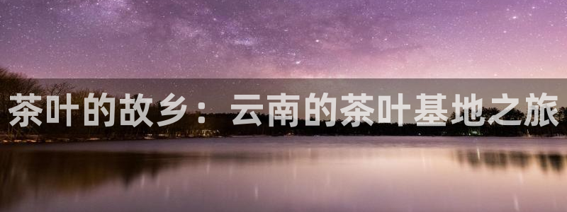 国际鸿运官方平台