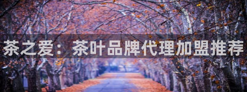 鸿运连锁管理平台