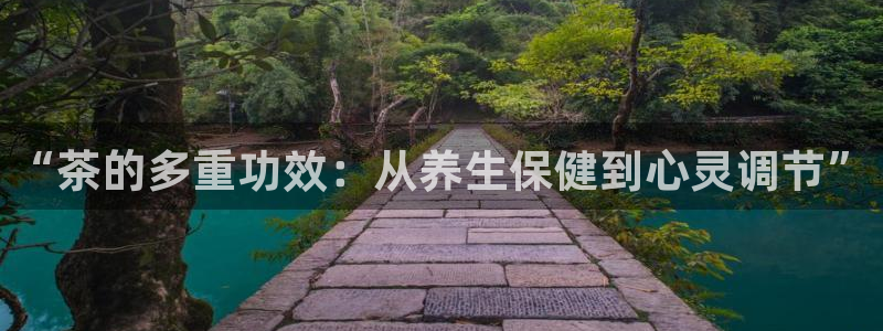 鸿运游戏平台