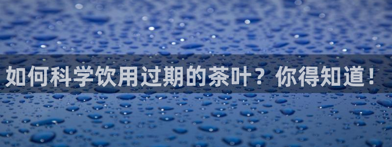 鸿运集团平台招聘
