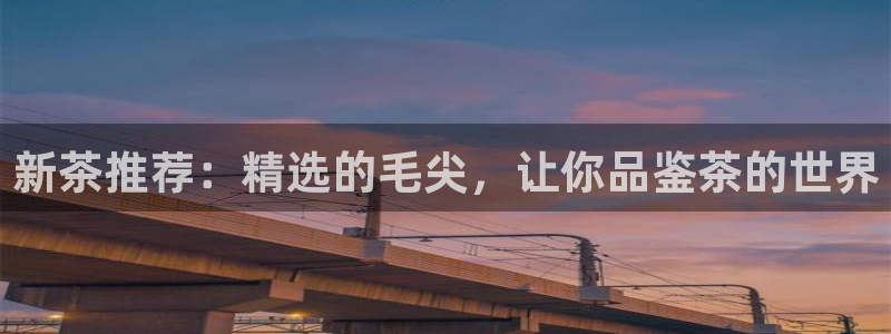 鸿运app是什么平台