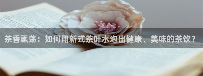 鸿运彩票平台带玩