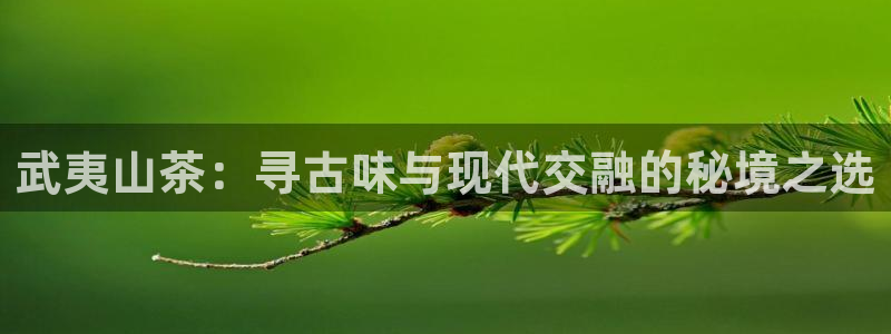 鸿运策略股票平台骗局