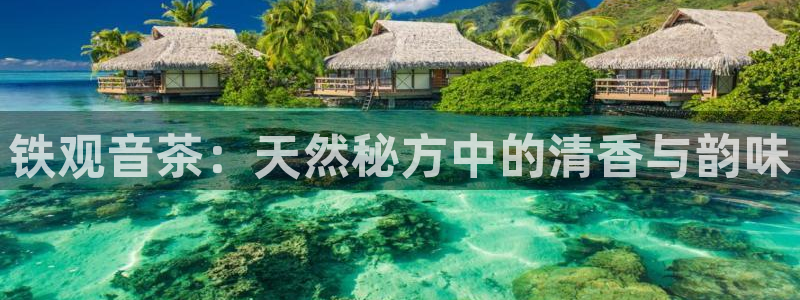 鸿运国际网址平台