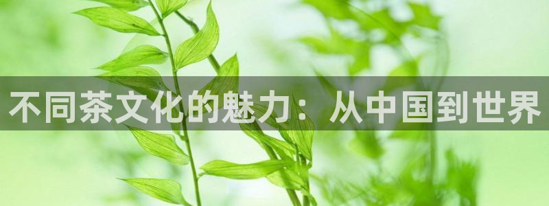 鸿运国际时时彩平台