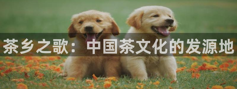 鸿运微交易平台