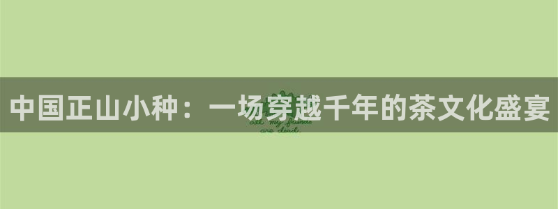 鸿运棋牌平台