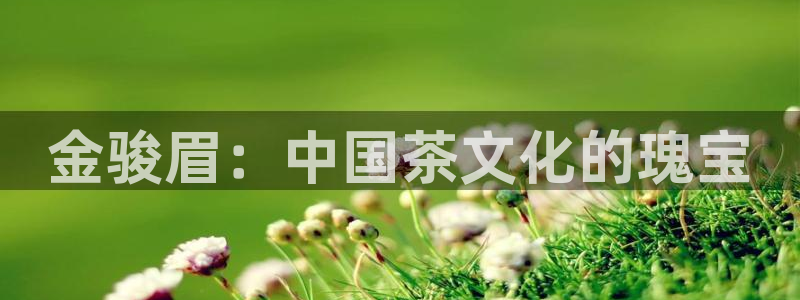 鸿运策略平台股票骗局