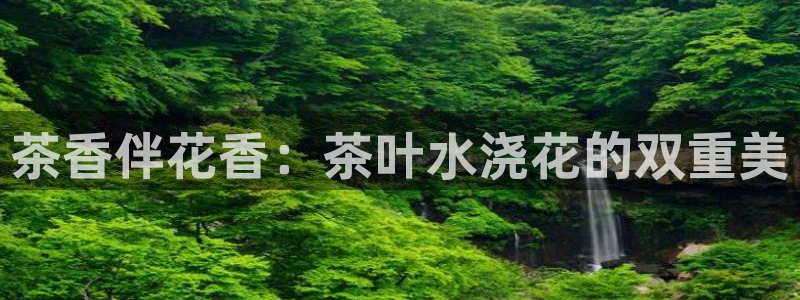 鸿运牛蹄团购平台