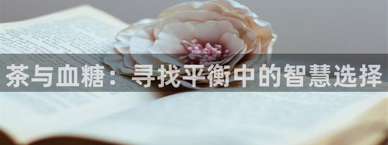 鸿运是什么平台