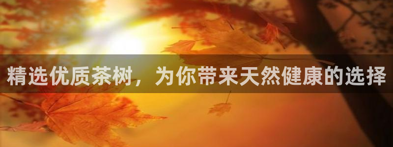 鸿运专业购彩平台网止