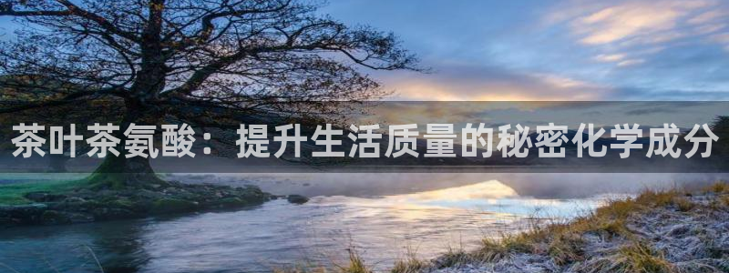 鸿运彩票平台官网