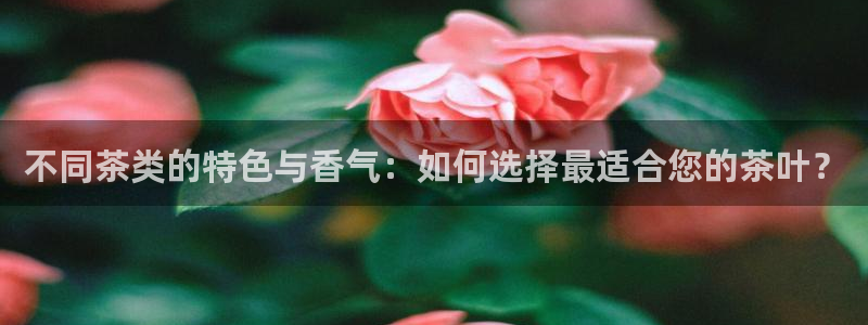 鸿运平台刷流水