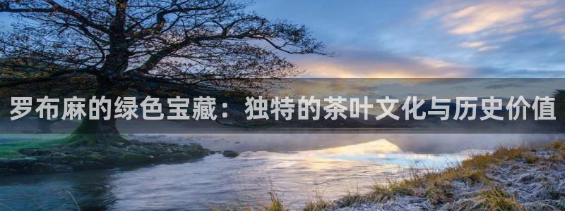 鸿运彩票平台违法吗
