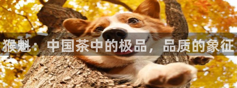 鸿运赌城线上平台