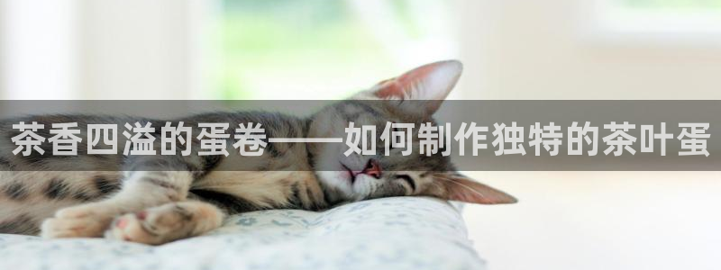 鸿运直播平台安卓版