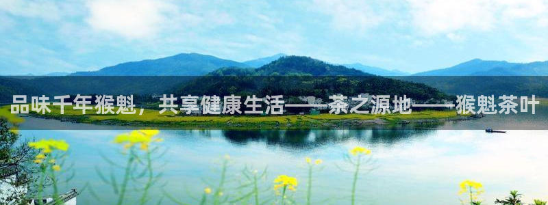 鸿运平台是大平台吗