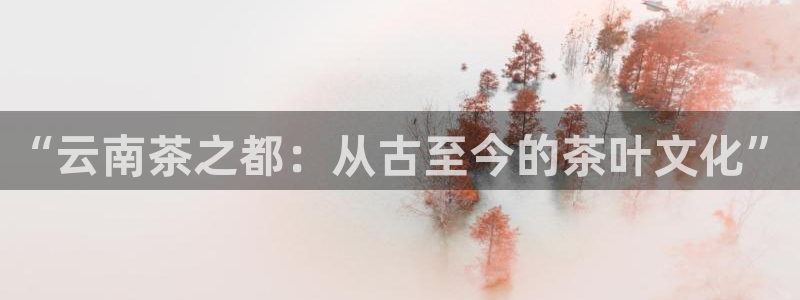 大发平台鸿运彩票