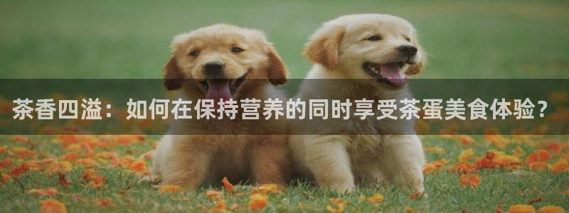 鸿运平台分分彩软件