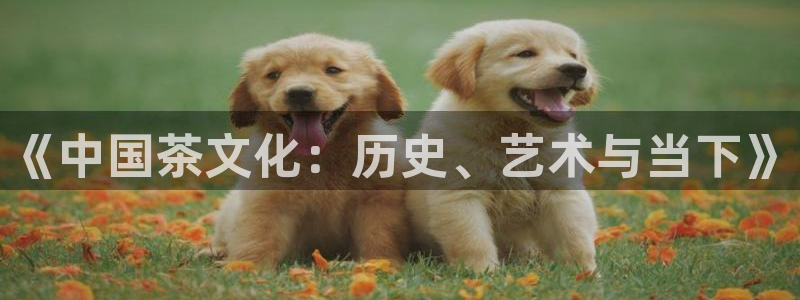 鸿运网上平台