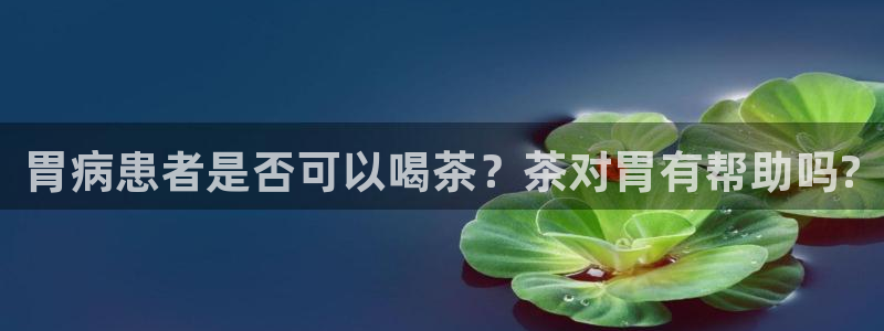 鸿运国际平台登录