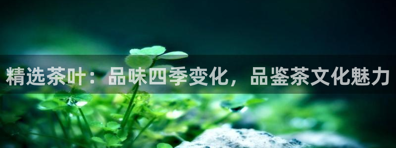 鸿运平台骗局曝光案例