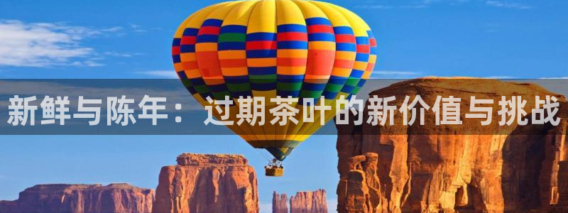 鸿运平台是骗子平台吗