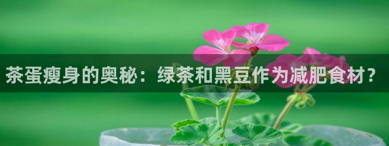 鸿运彩票网络平台