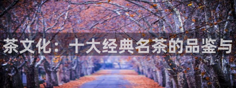 鸿运彩票专业购买平台