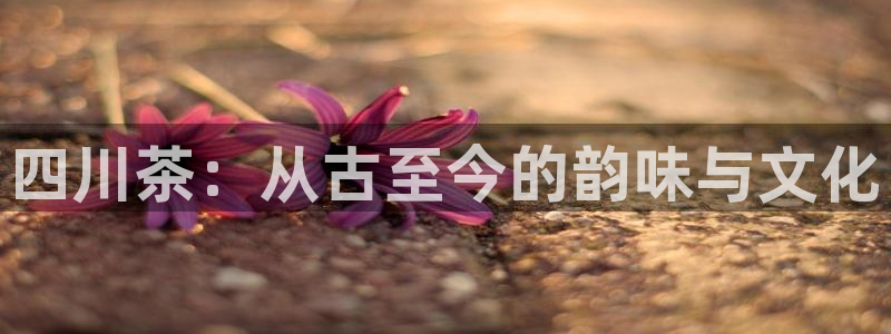 鸿运平台骗局曝光案例