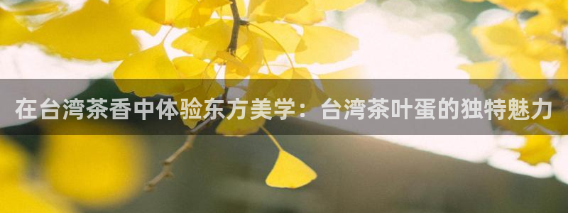 鸿运彩 票诈骗平台