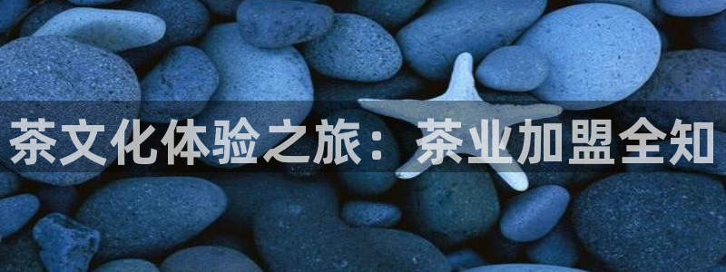 鸿运商通管理平台