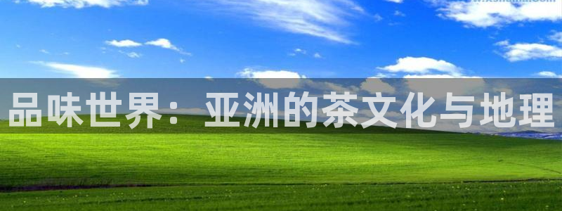 鸿运平台台